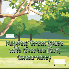 Flyer for Mapping Green Space